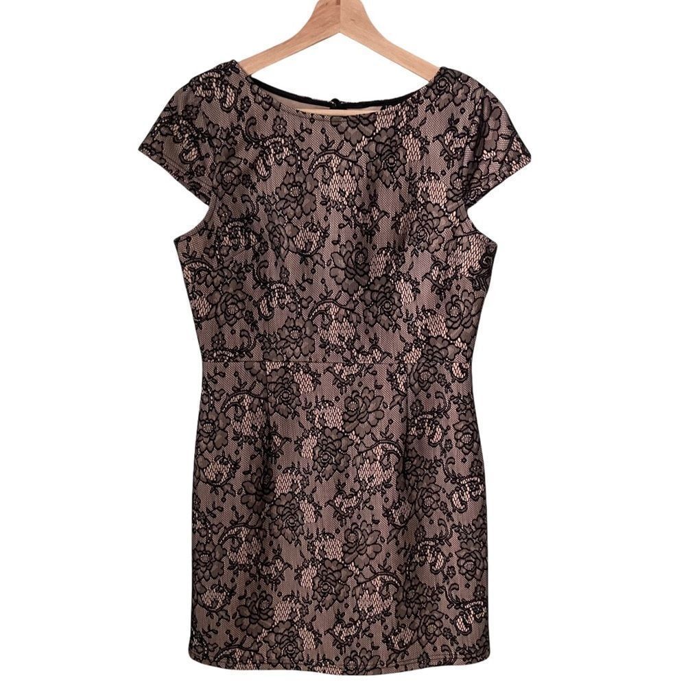 Windsor Black Floral Lace Short Sleeve Dress in Size Large